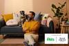 Pets at home partnership 1