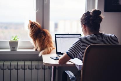 Woman sat in home at desk with cat